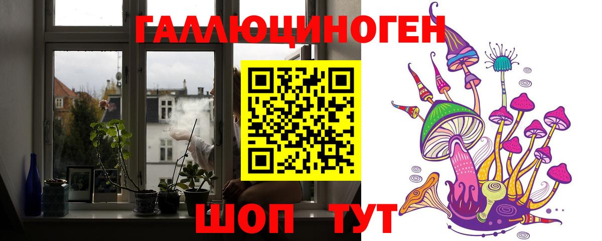 закладка  Вход с VPN  Саяногорск  Галлюциногенные грибы Psilocybe 